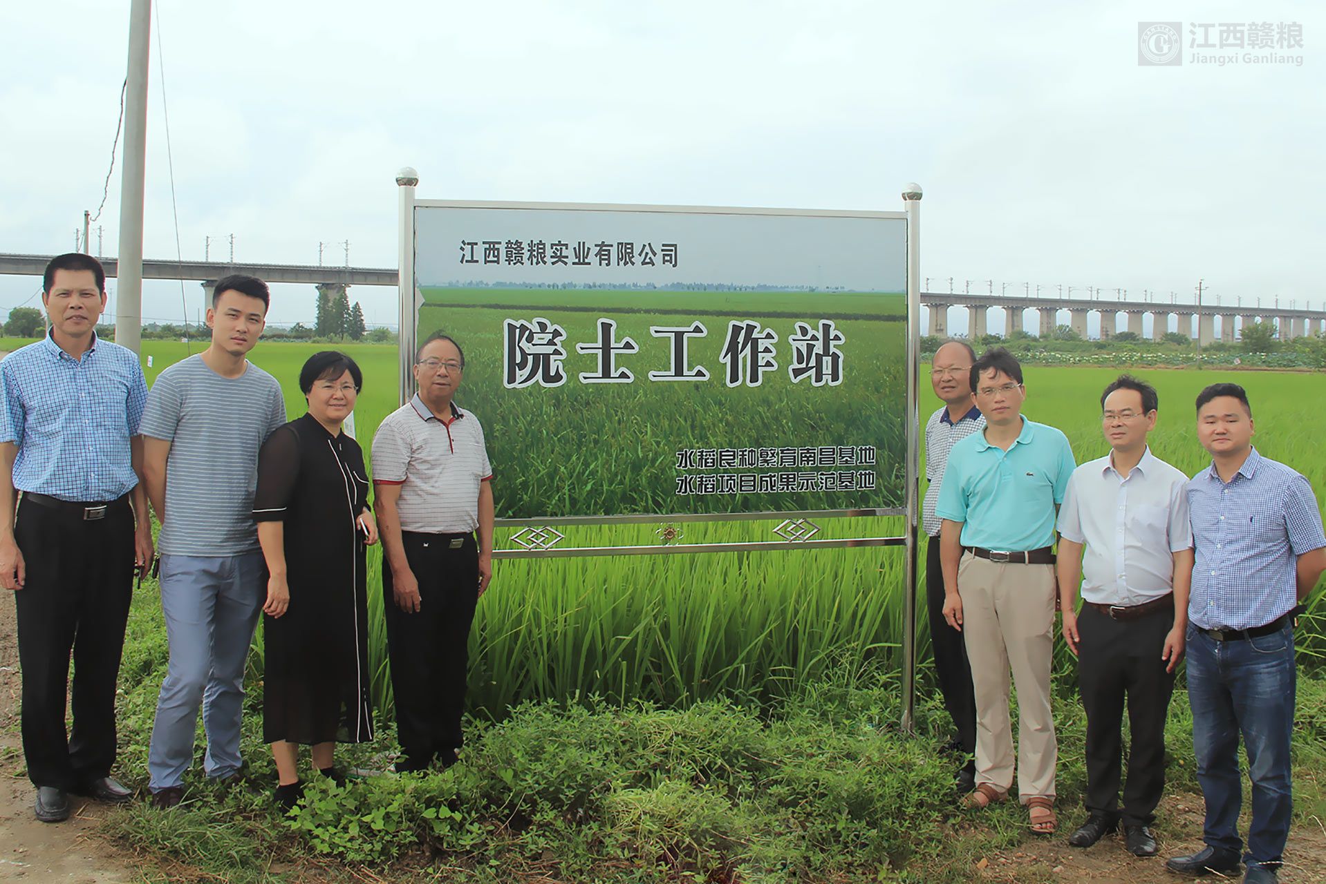 谢华安院士到公司南昌县富山乡再生稻试验基地指导工作