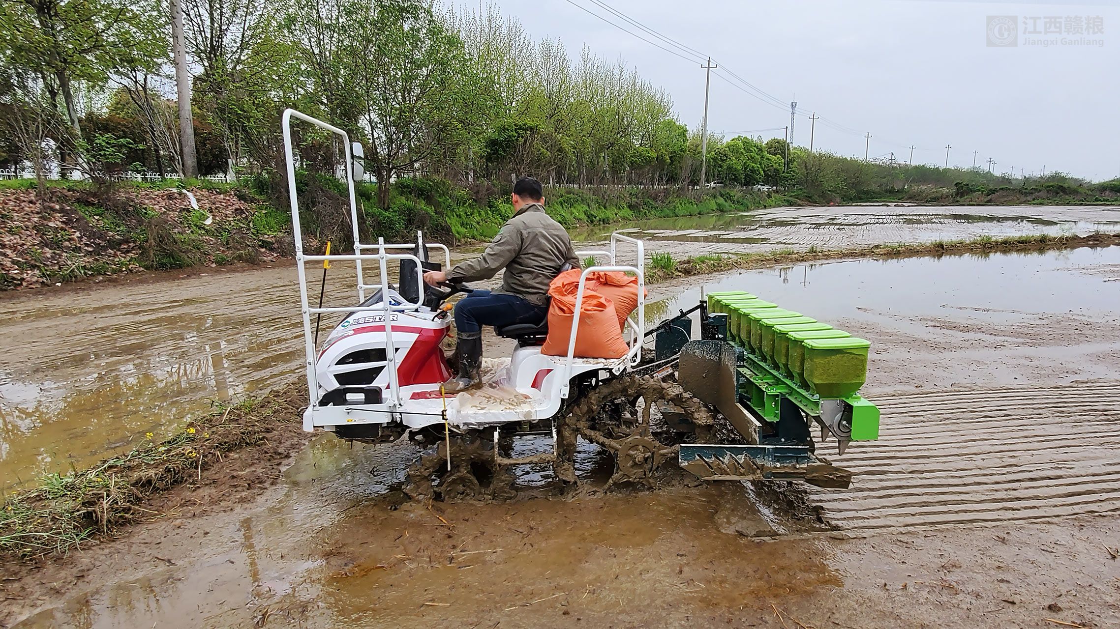 省工省力 精确播种——冈上基地2020年机械精量穴直播技术示范